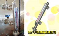 從磁翻板液位計浮子損壞檢修出現的意外情況談防范措施