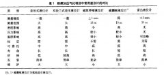 磁翻板液位計等儀液位儀表在粉煤加壓氣化裝置中的選型與分析